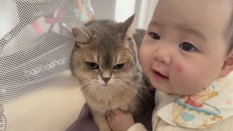 baby loves unconditionally with cats