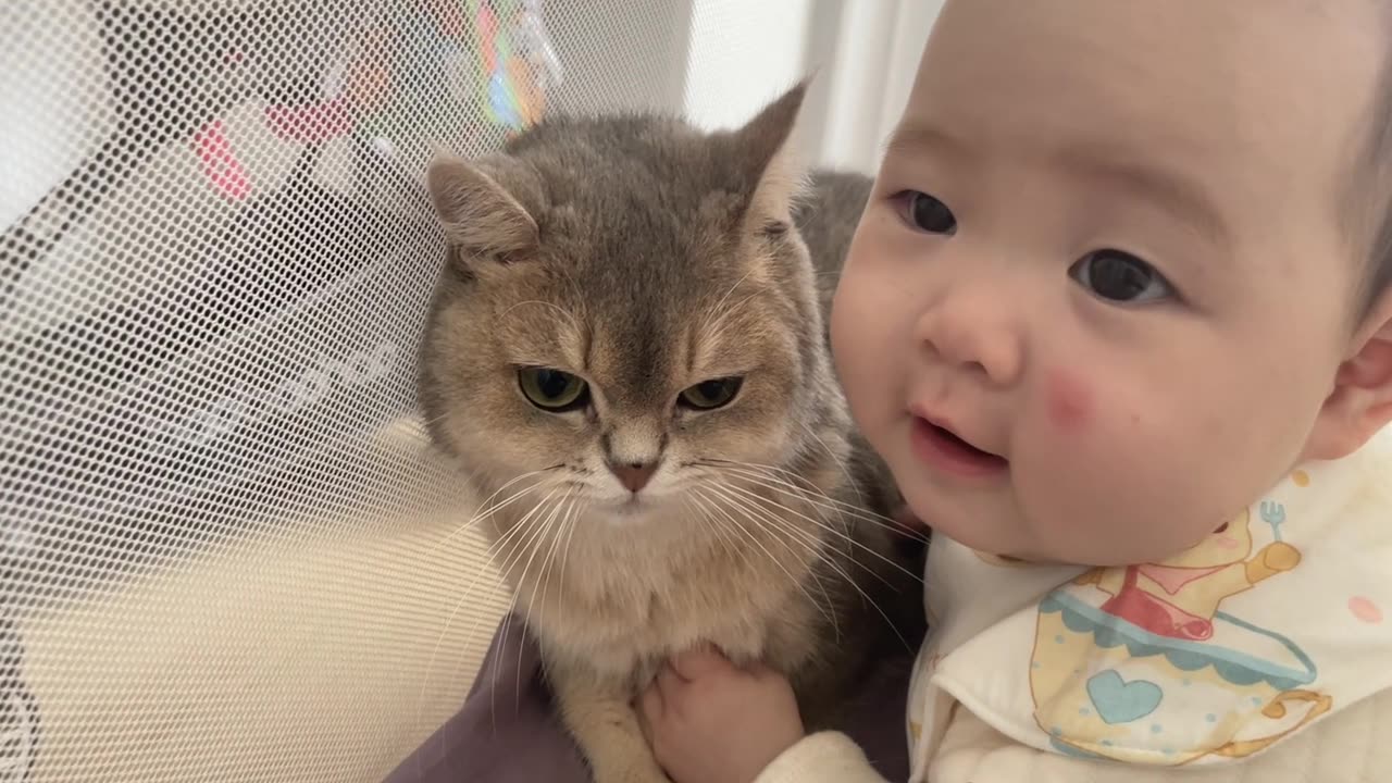 baby loves unconditionally with cats