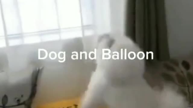 Poppy play with balloon