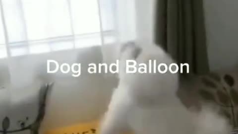 Poppy play with balloon