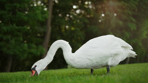 Fun & Wildlife