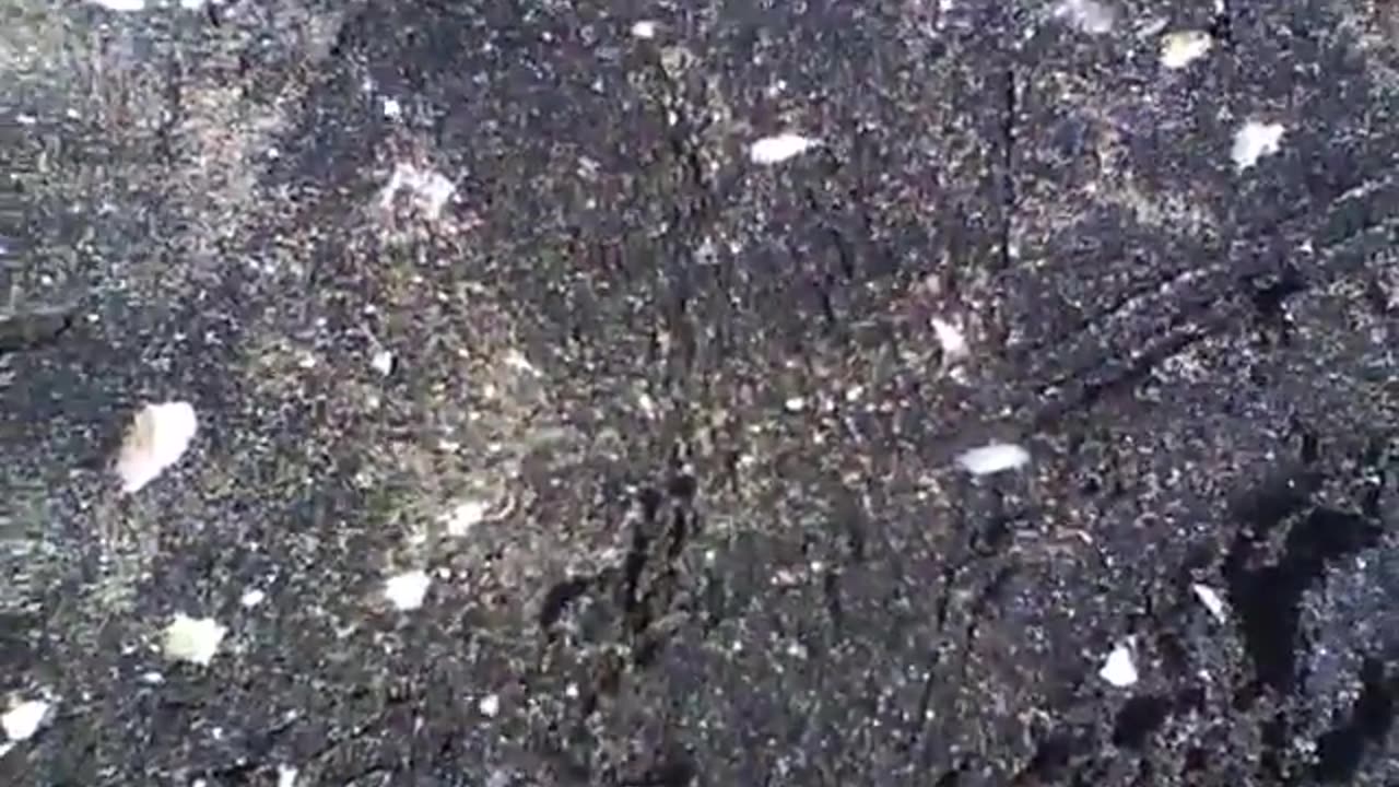 A Sparkly Piece of Real Leverite...