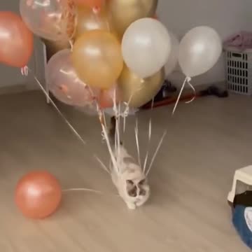 Viral video trending 2m view