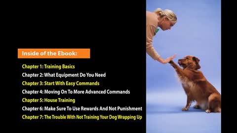 Dog_Training_eBook_|_Dog_Training_Tips_and_Tricks(
