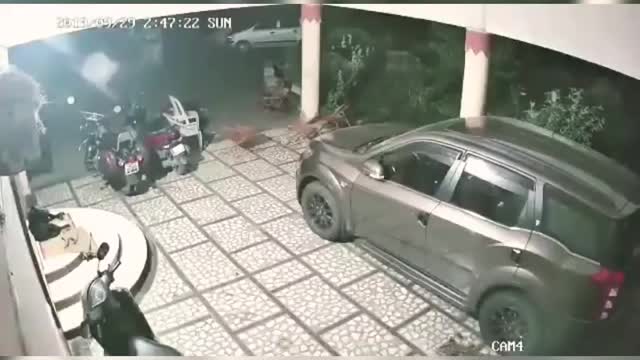 Leopard attacks on dog - shocking videos