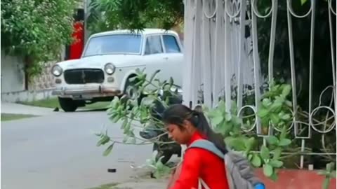 इंसानियत अभी जिंदा है 🔥 - लड़की की साइकिल तोड़ डाली 😱 - amazing facts -