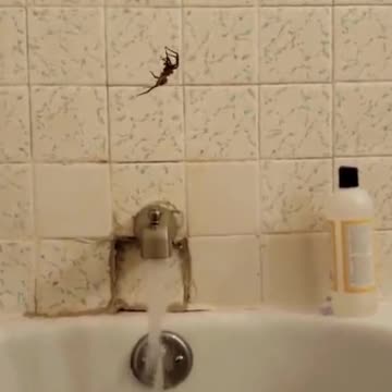 tried to take a relaxing bath today..