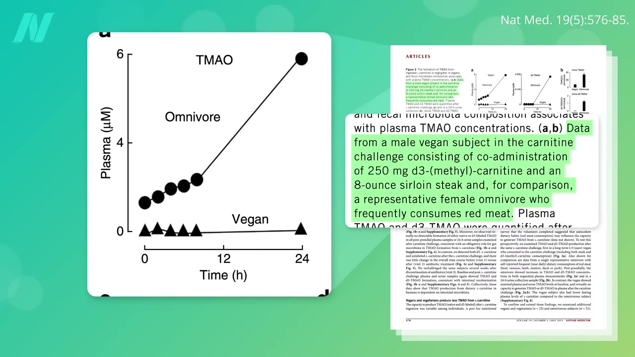 How to Cultivate a Healthy Gut Microbiome with Food