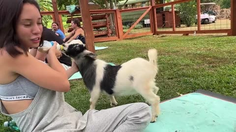 for a fun day in Hawaii as she discovers the zen