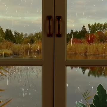 Meditation body relaxation video