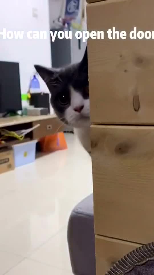 Have your kitty open the door ? 🤷🏻‍♀️