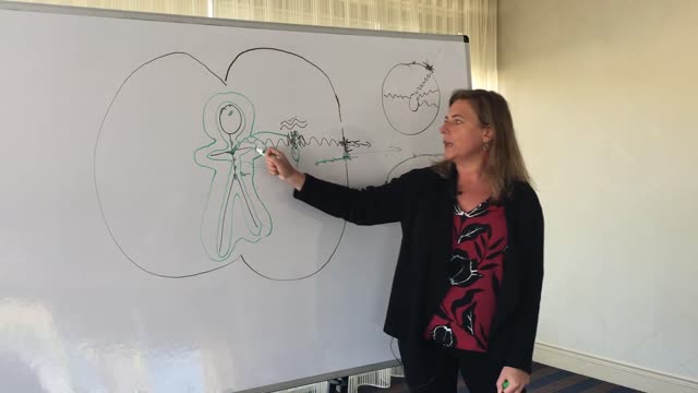 Eileen Day McKusick - Biofield Anatomy Hypothesis explained