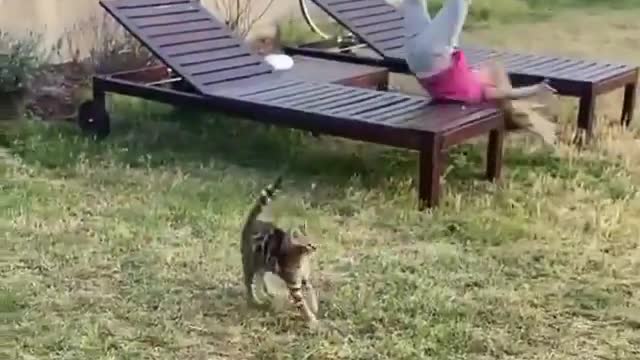 Funny Cats scaring the girl to fall