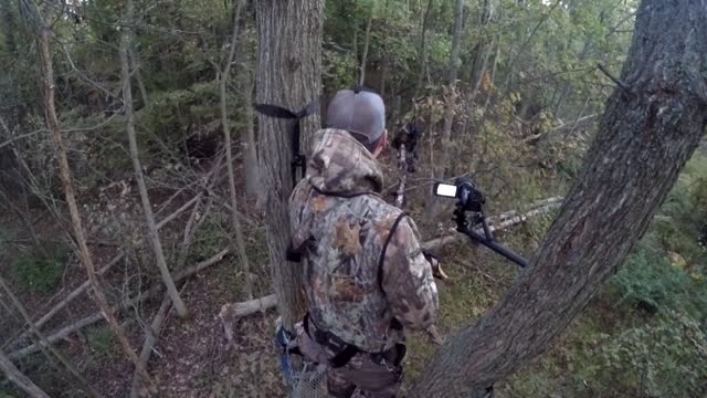 Threading the Needle - Opening Morning Buck