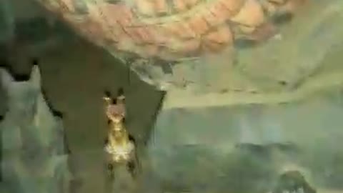 See a pharaonic tomb from the first entry to the door until you see all the good