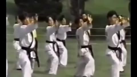I.H.F. Hapkido Part 1