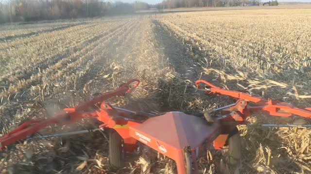 massey ferguson 2946A first corn stalk bales. i did contact my local A.H.B.A.