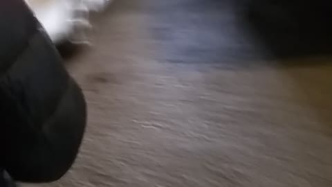 Taxi driver escaped