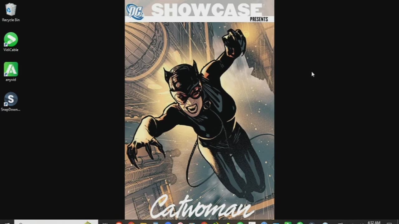 DC Showcase Catwoman Review