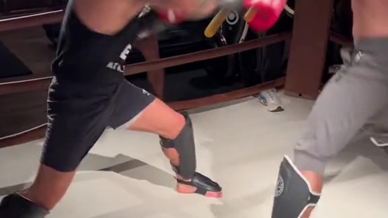 "Mastering the Art of Combat: A Comprehensive Guide on How to Fight"