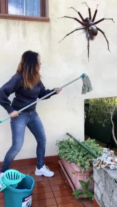 Giant Spider 🕷 I don't understand why this is happening to me 😨 #shorts by NOODINA