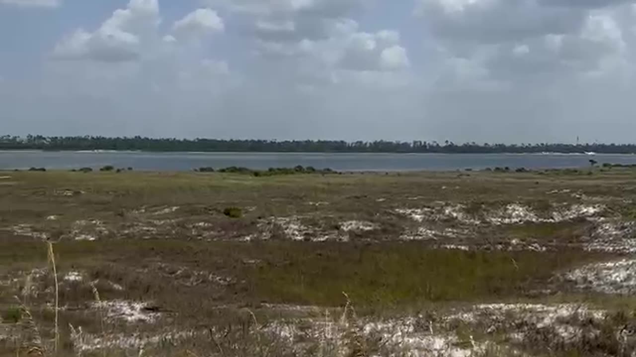 View of Shell Island Beach (Panama City Beach, Florida)