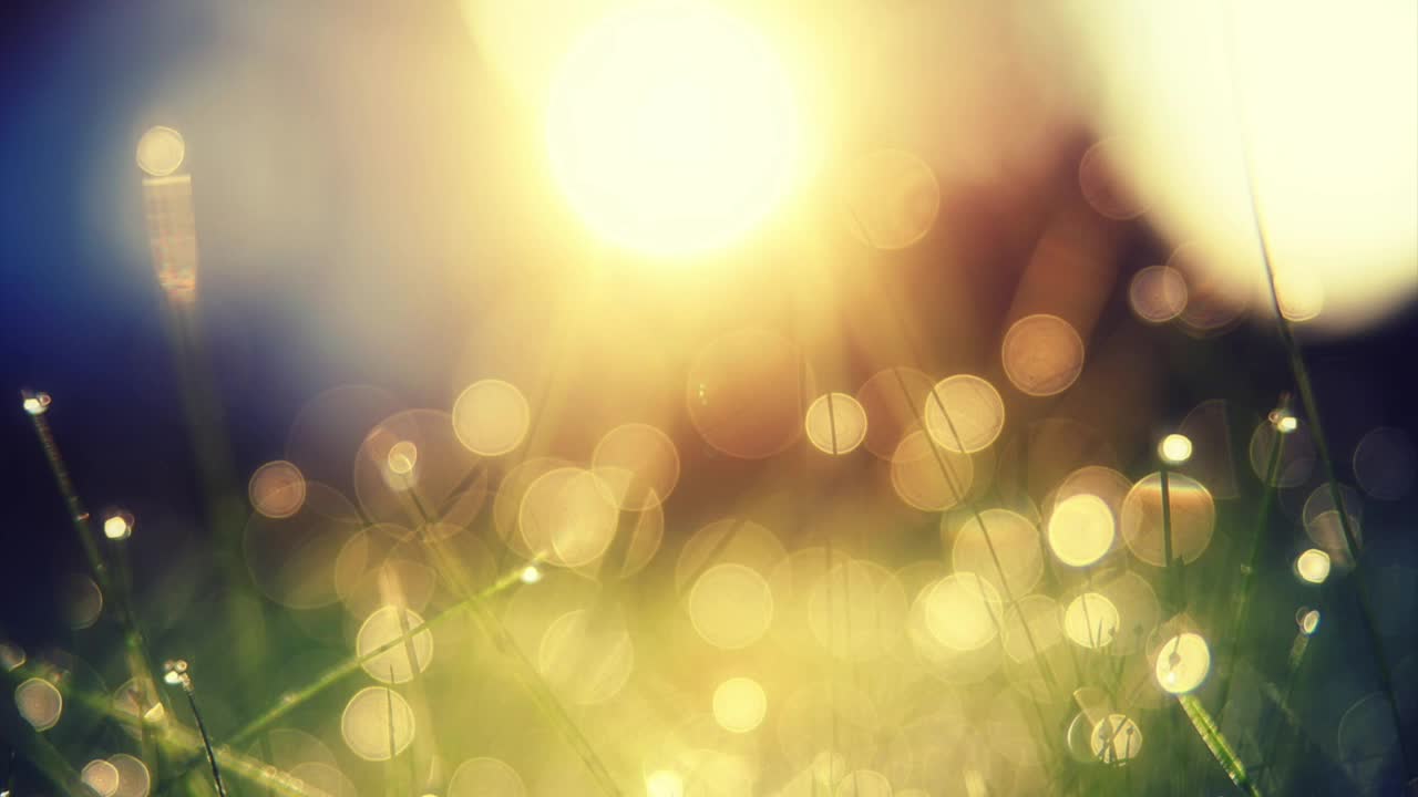 Pray USA, 5/29/22 Stronger Still