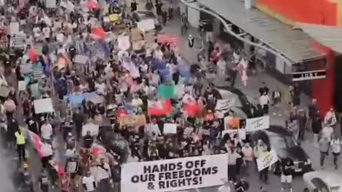 Freedom protests in New Zealand 🇳🇿