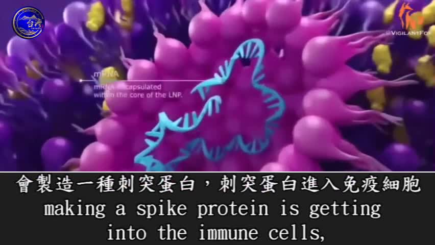mRNA疫苗摧毀免疫系統導致各類癌症,並能輕易通過血腦屏障影響大腦!