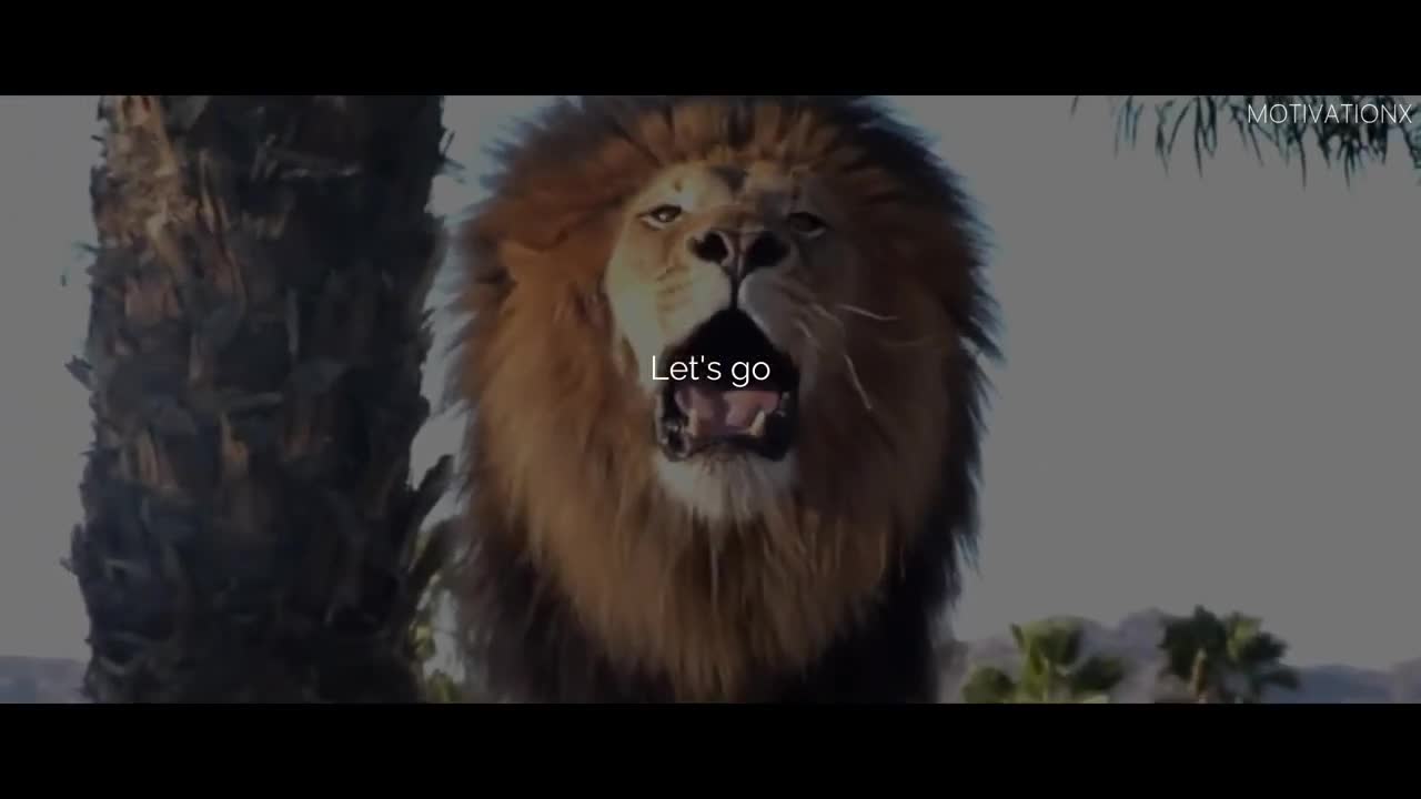 THE LION MENTALITY -great motivational video