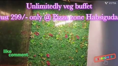 Unlimited veg buffet