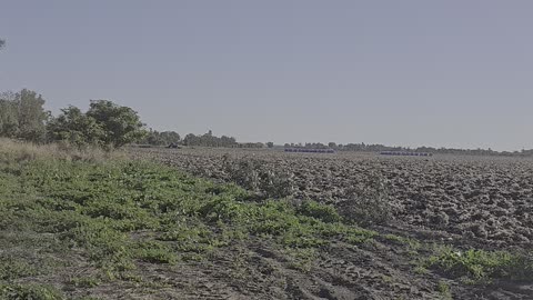 Theodore QLD | Bare Cotton Field