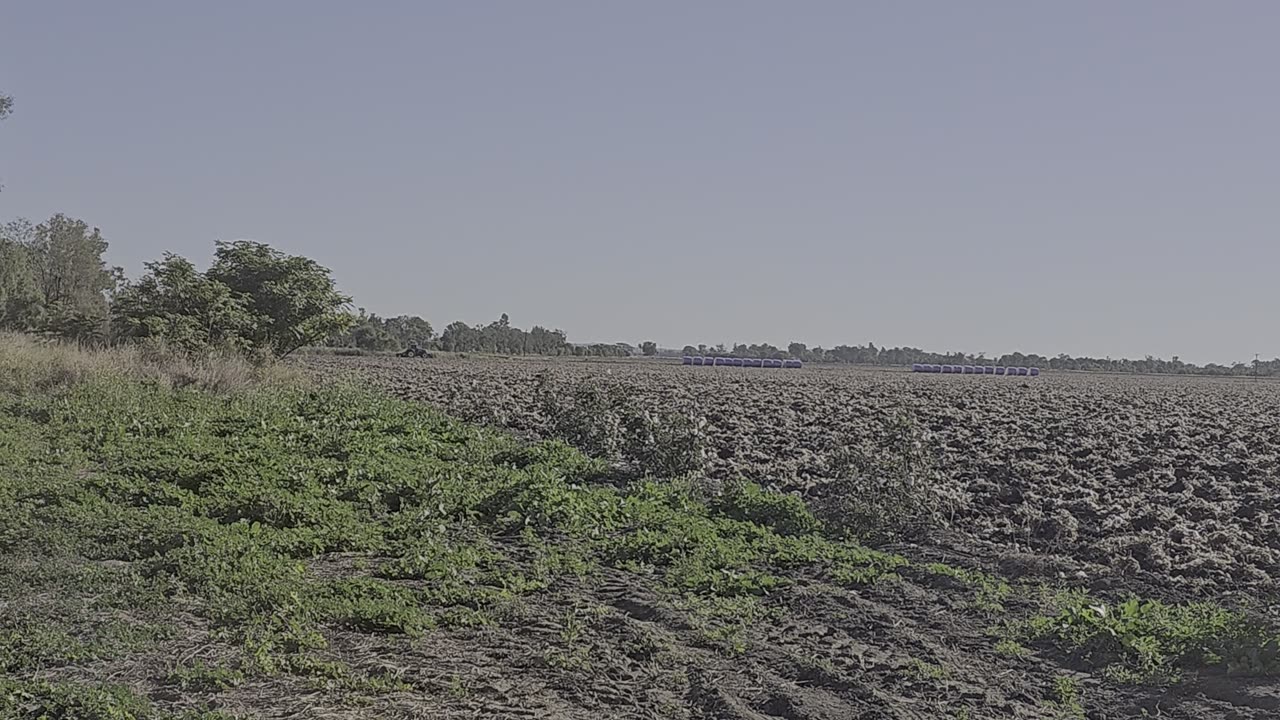 Theodore QLD | Bare Cotton Field