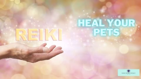 Reiki Healing For Cats n Dogs With Music