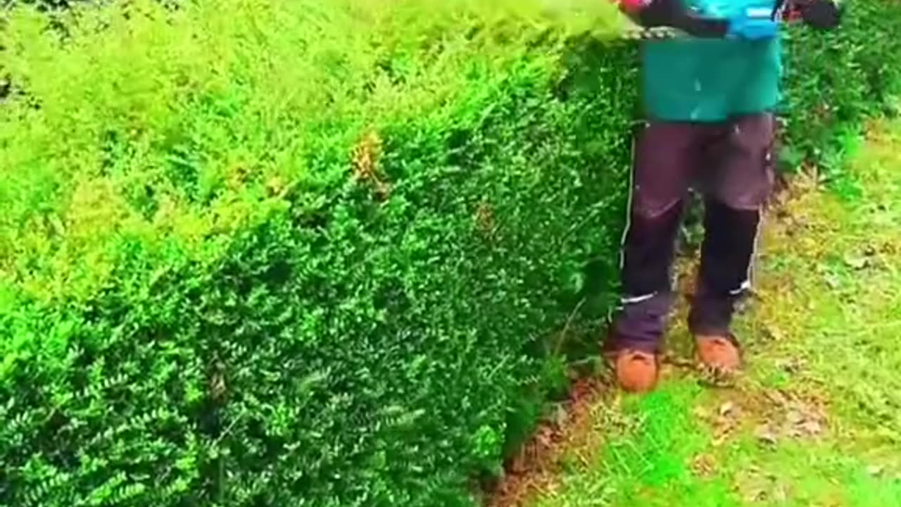 Satisfying Garden Work