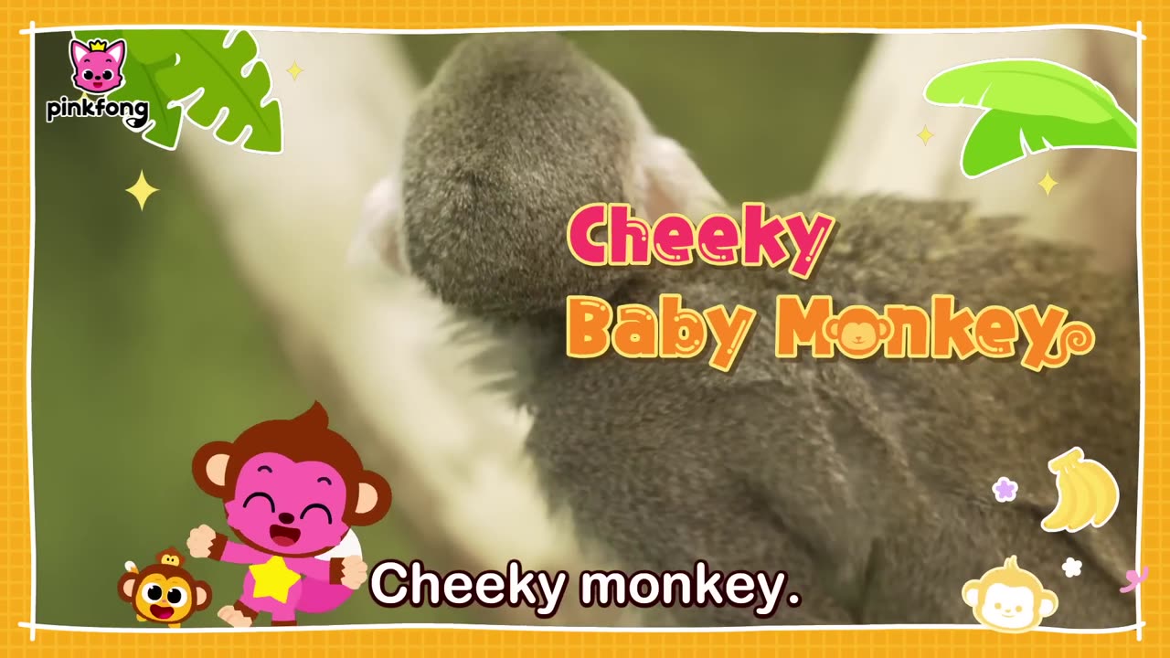 Boom Cheeky Cheeky Baby Monkey - Kids Nursery Rhyme - Pinkfong Ninimo