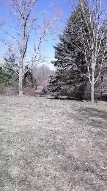 04 02 2020 - asshole amazon delivery driver