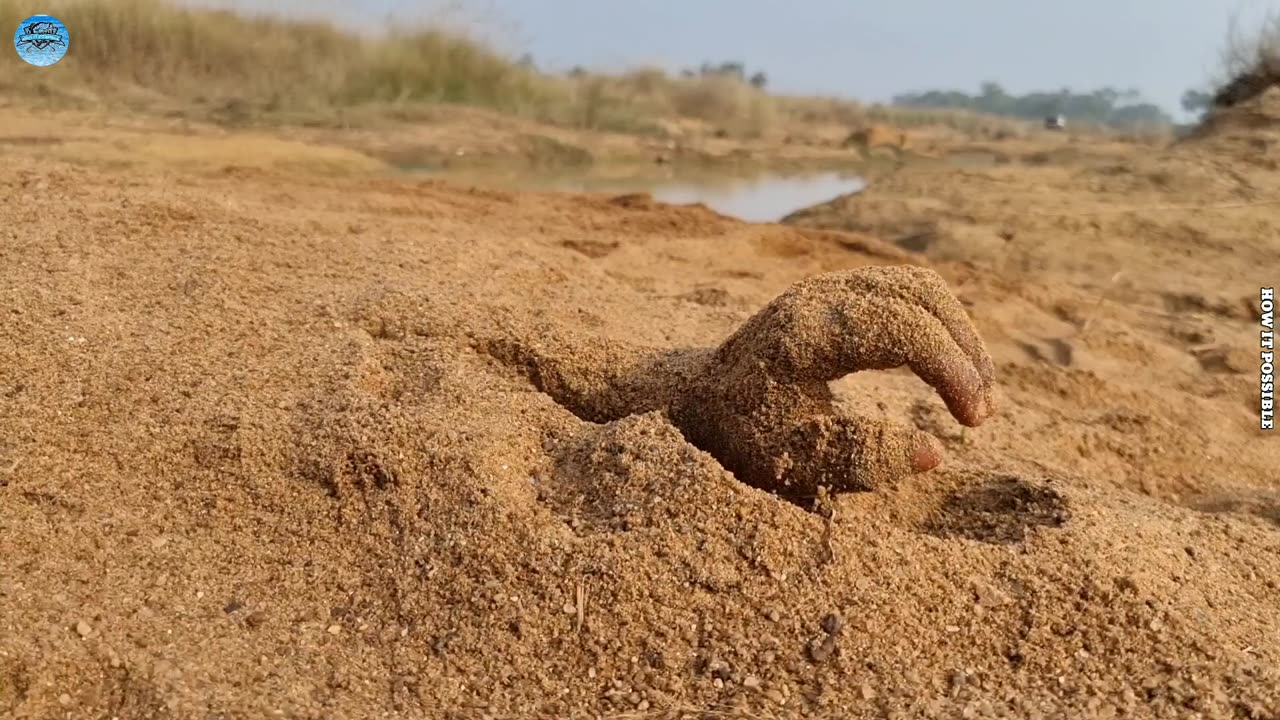 Amazing Fishing Video By Village Boy In jungle Wild Life