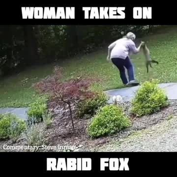 Woman vs Rabid Fox