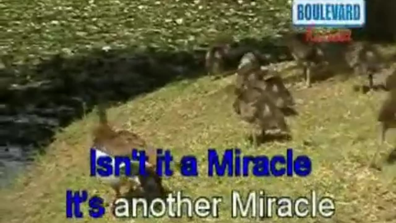Miracle