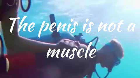 Penis Facts 9 #shorts