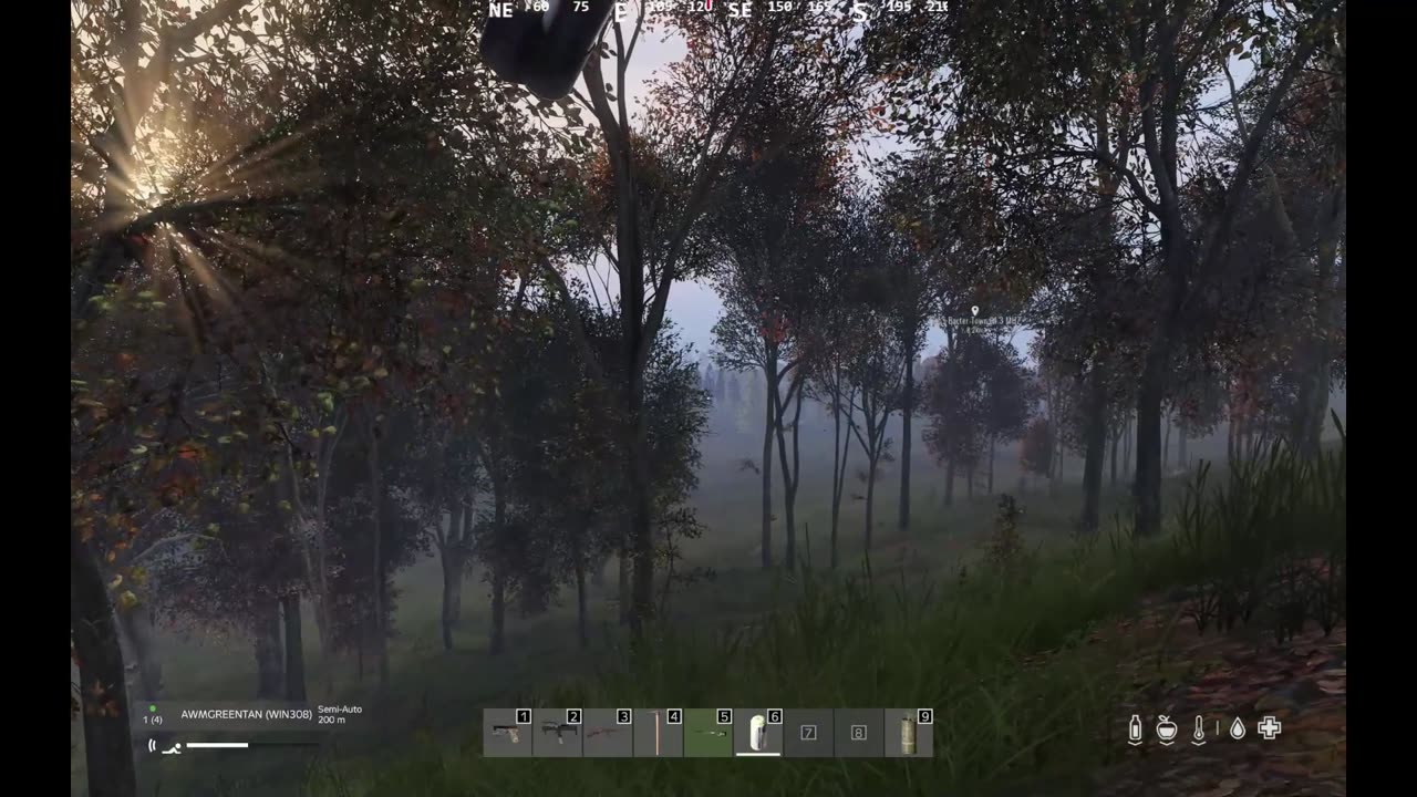 DayZ: First time ever in PvP