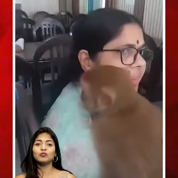 శ్రద్ధగా హరే రామ, హరే కృష్ణ స్మరణ వింటున్న కోతి #monkey #viralvideo #hareramaharekrishna | FBTV NEWS