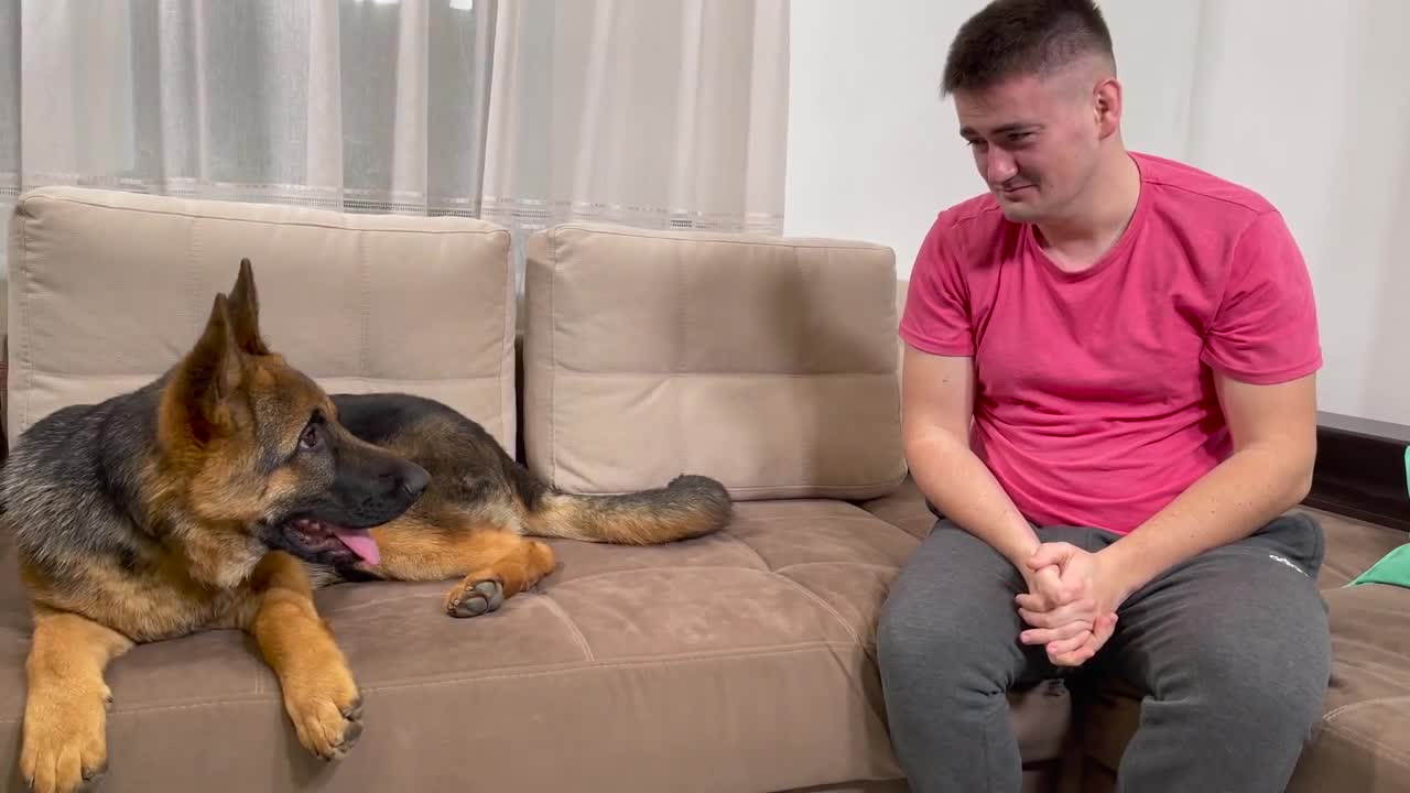 German Shepherd Puppy Reaction to Me Crying