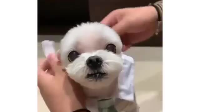 Прикольчик смотрите