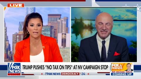 Kevin O'Leary: This may prove to be a huge mistake for the Democrats