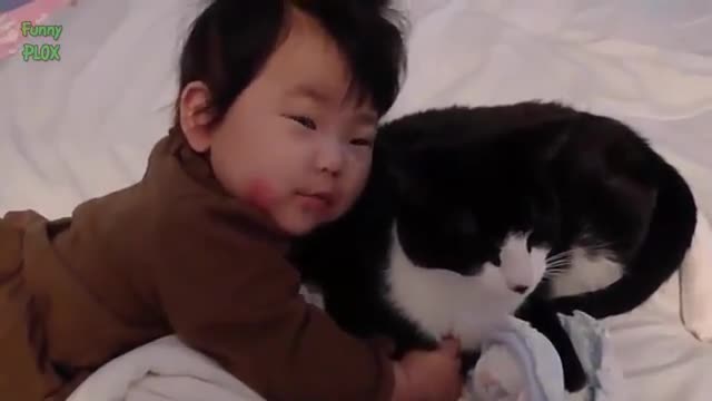 Animals and babies funny videos.