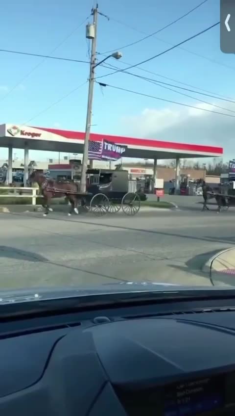 Amish on their way to SEE TRUMP in Harrisburg, PA! Beautiful