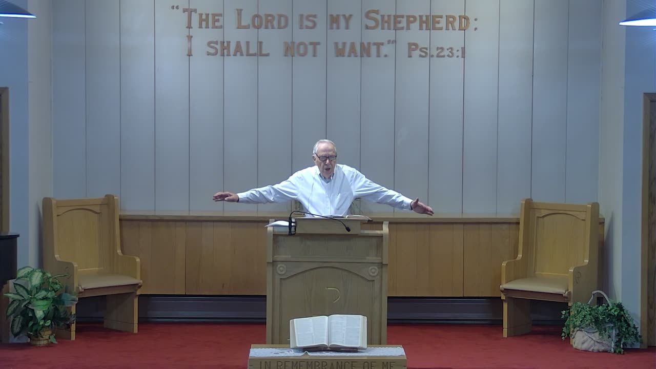 My Shepherd