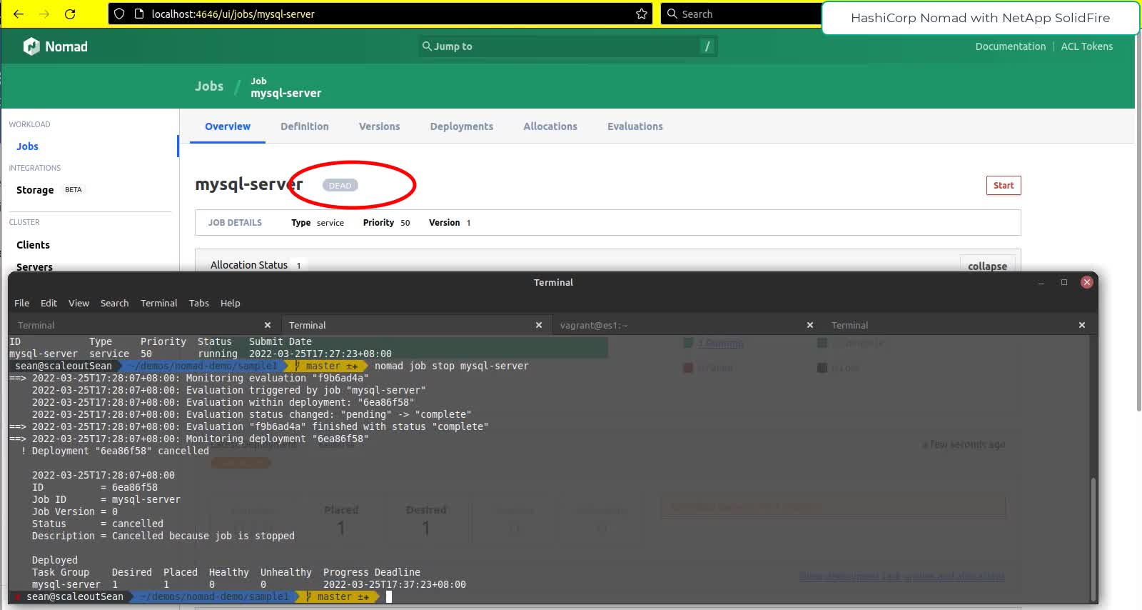 HashiCorp Nomad with NetApp SolidFire iSCSI storage